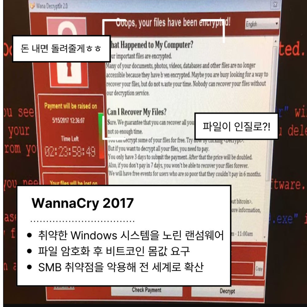 8f8203158d9299dddc8be5a98ad3f081_1793064035_3884.jpg